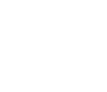 renato-variz